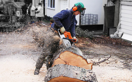 JJ&B Tree Surgeon