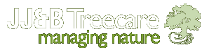 Tree Surgeon – JJ and B Tree Care Surgery Services and Specialist