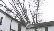 Roof Damage 1