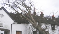 Roof Damage 2