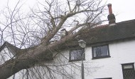Roof Damage 3