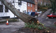 Roof Damage 5