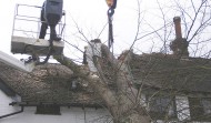 Roof Damage 13