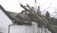 Roof Damage 14