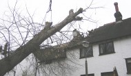 Roof Damage 17