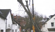 Roof Damage 19
