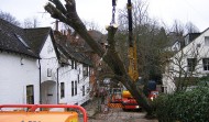 Roof Damage 21