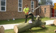 Church Tree 10