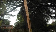 Lightning Damage 1