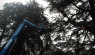 Lightning Damage 6