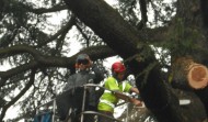 Lightning Damage 7