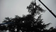 Lightning Damage 9