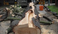 Lightning Damage 13