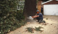 Lightning Damage 15