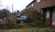 Tree Fallen in Drive 2