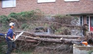 Tree Fallen in Drive 4
