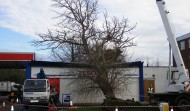 Tesco Damage 2