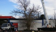 Tesco Damage 3