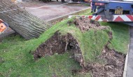 Tesco Damage 4