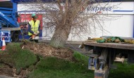 Tesco Damage 5