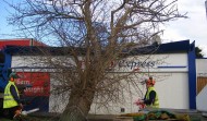 Tesco Damage 6