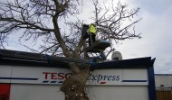 Tesco Damage 8