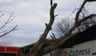 Tesco Damage 10