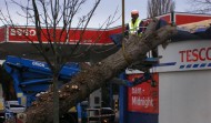 Tesco Damage 11