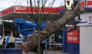 Tesco Damage 12
