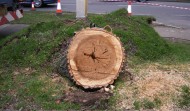Tesco Damage 14