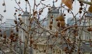 Tower of London 5