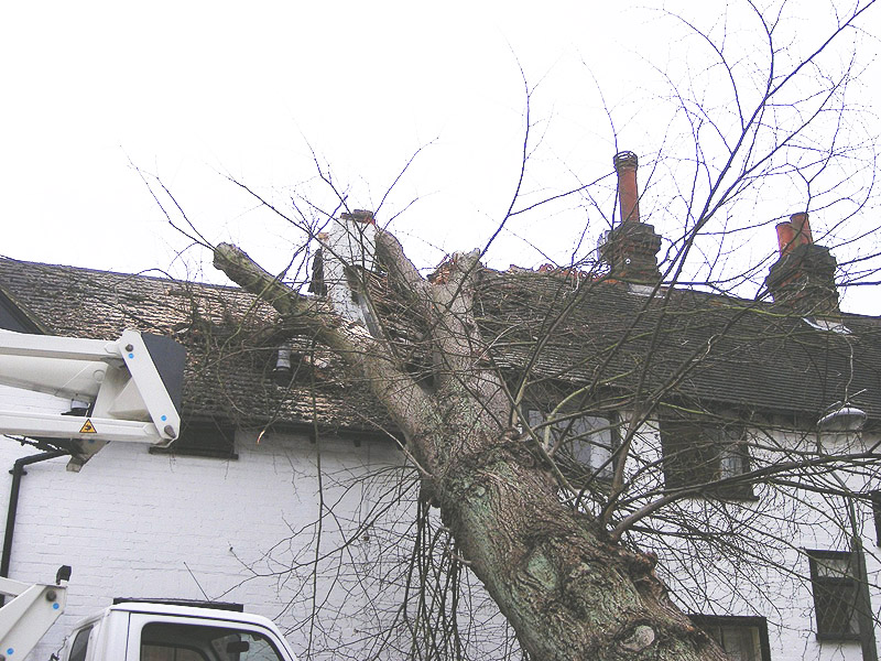Roof Damage Emergency