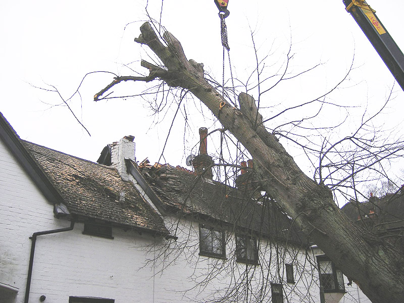 Roof Damage Emergency