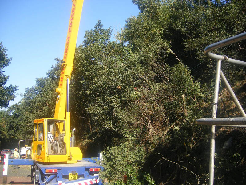 Sidcup Tree Care