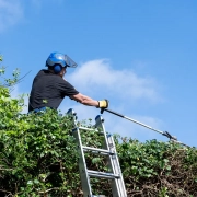 Book Your Yearly Tree Work