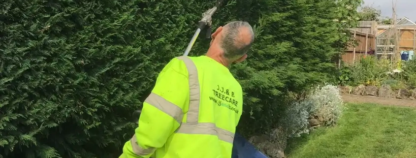 Customer Approved Tree Services in Kent