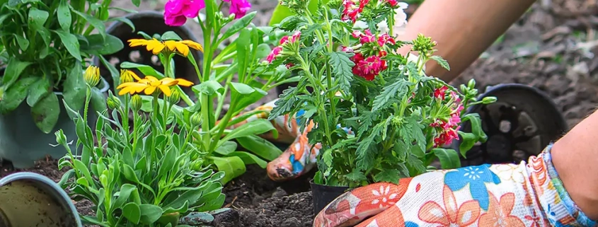 Get your garden ready for summer in Kent