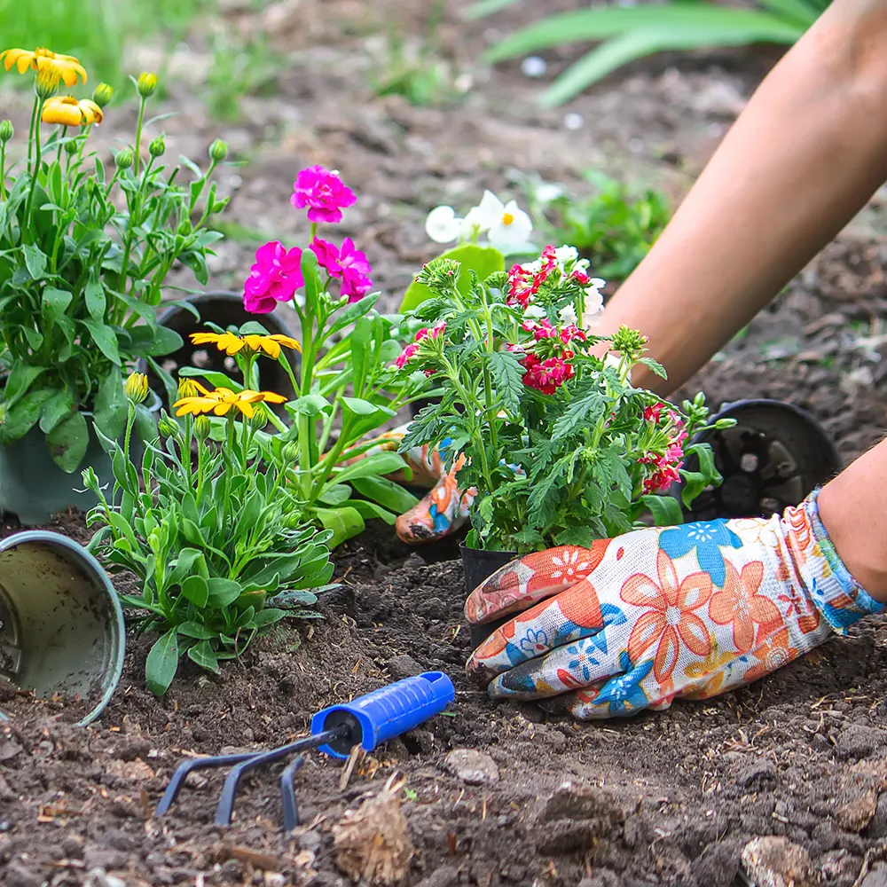 Get your garden ready for summer in Kent