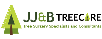 Bromley Tree Surgeon - JJ and B Tree Care Arborist Services