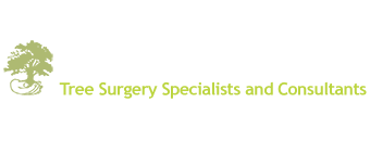 Tree Surgeon - JJ and B Tree Care Surgery Services and Specialist