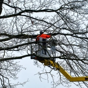 Winter Tree Work by JJ&B Tree Care